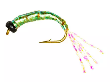 Camolera Alosa agone SHINY MIX