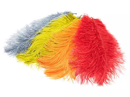 PLUMA DE AVESTRUZ (OSTRICH HERL) V2 hotfly - 1 pcas. -...
