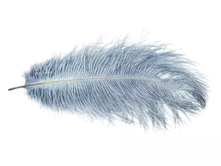 PLUMA DE AVESTRUZ (OSTRICH HERL) V2 hotfly - 1 pcas. -...