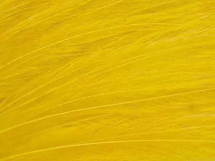 GENETIC HACKLES MINIPATCH hotfly