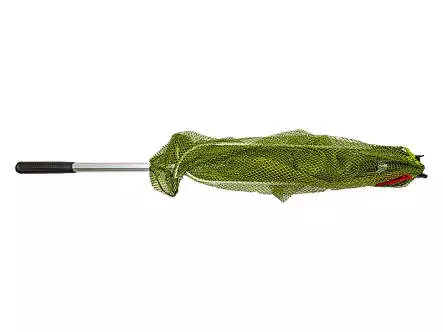 Sacadera telescopica STANDARD camor