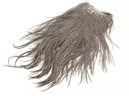 SADDLE keough hackles