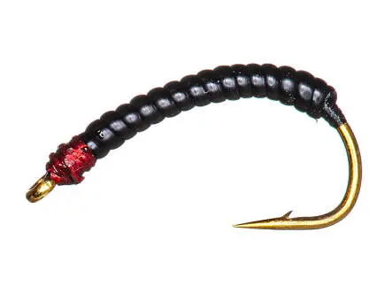Camolera Corégono RIB EVO