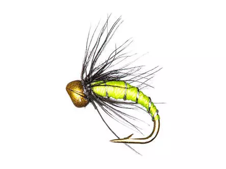Camolera Trucha BRIGHT MIX 1