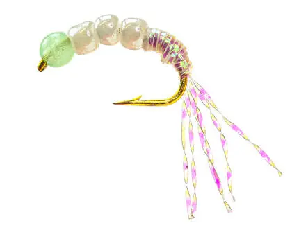 Camolera Alosa agone SUPERBEAD 1