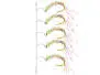 Camolera Alosa agone SUPERBEAD 1