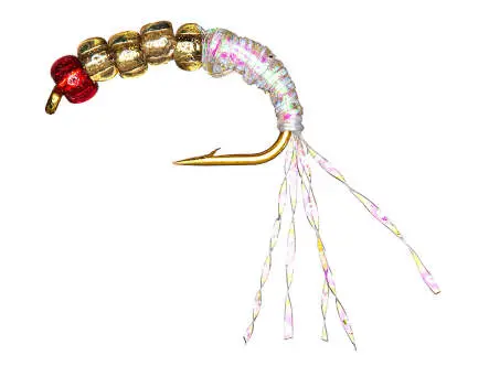 Camolera Alosa agone SUPERBEAD 2