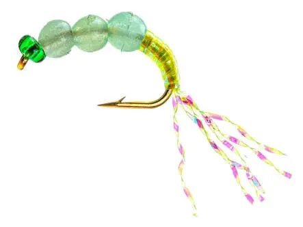 Camolera Alosa agone SUPERBEAD 4