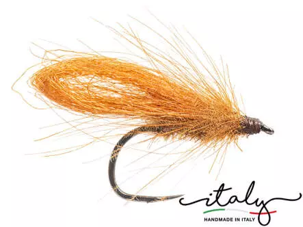 Fabios Brown Loopwing Sedge