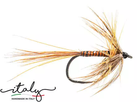 Rusty Quill Heptagenia