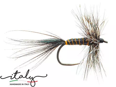 Large Orange Ribbed Black Ephemerida