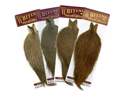 Cuello de gallo COQ DE LEON whiting farms