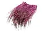 PECCARY PATCH hotfly - pink branco killer