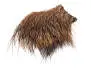 PECCARY PATCH hotfly - brown