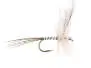 White Ripped Mayfly  10