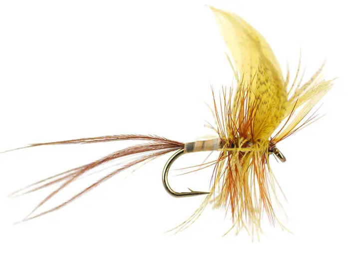 Cream Yellow Quill Mayfly 10