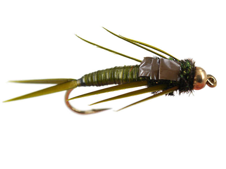 Marks Simple Olive Stonefly 6