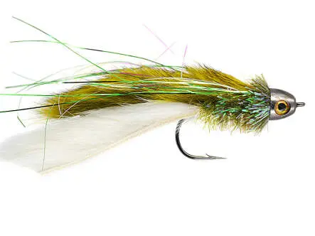 Clarkes Rat - Olive 2