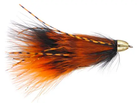 Phillippes Flu Shot - Burnt Orange 4