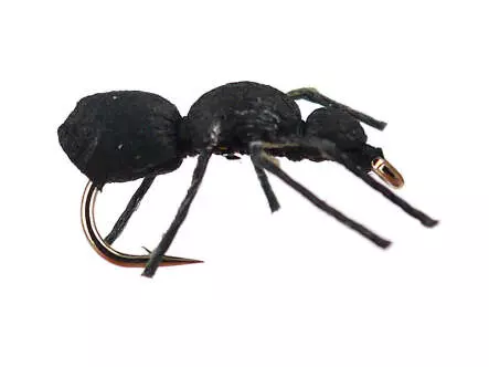 Black Ant 14