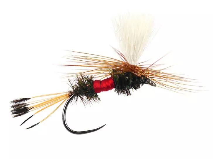 Royal Coachman Parachute BL