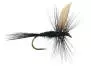 Black Gnat BL