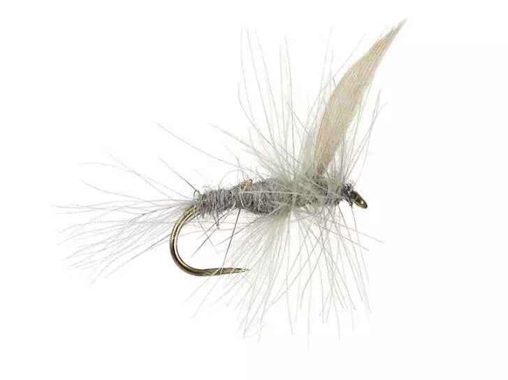CDC Blue Dun BL