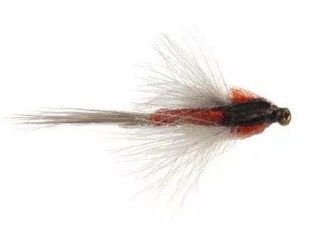 CDC Brown Spent BL