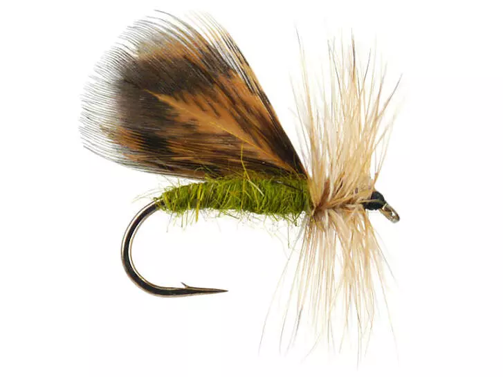 Spent Partridge Caddis