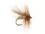 Cinnamon Caddis