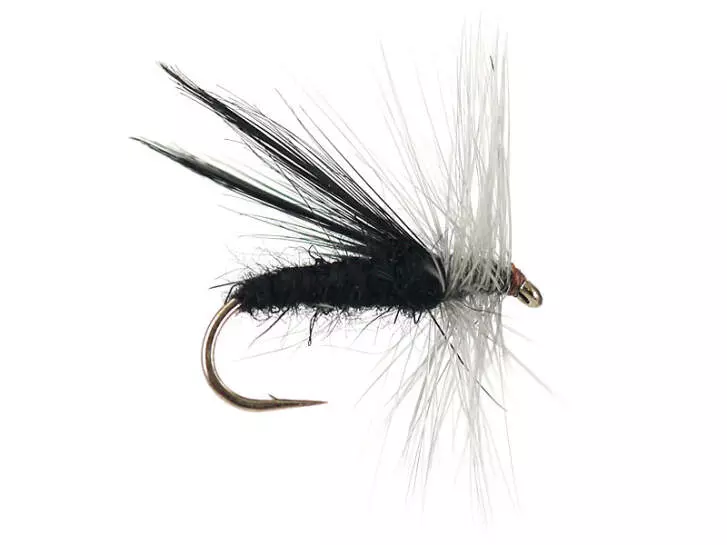 Fluttering Caddes Black