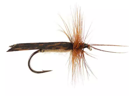 Cos Caddis
