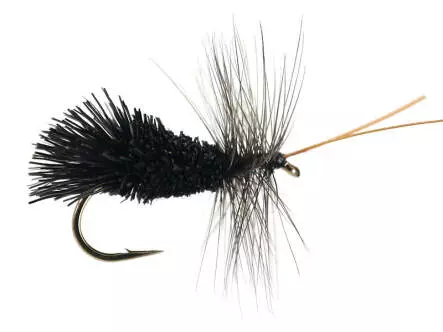 Godards Caddis Black