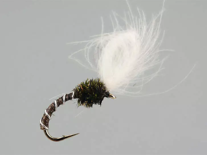 CDC Quill Midge