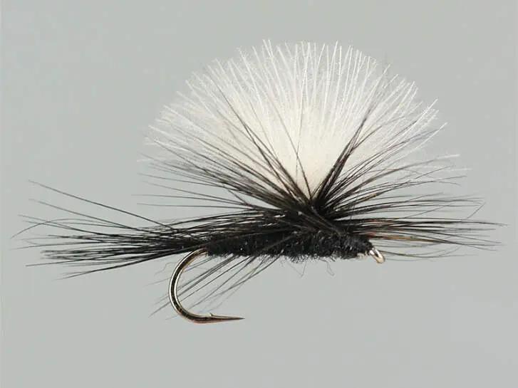 CDC Parachute Black