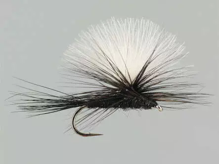 CDC Parachute Black