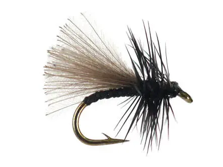 CDC Hackled Black