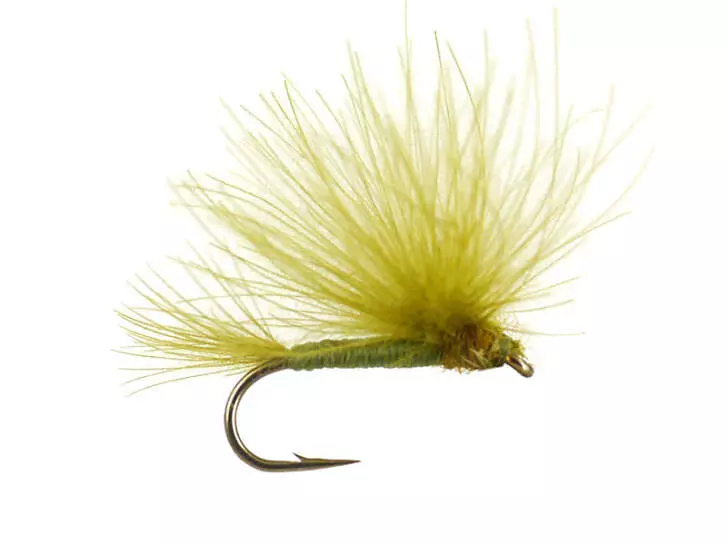CDC Splitwing Olive