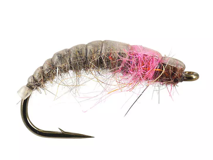 Pink Catching Czech Nymph