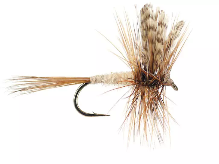March Brown