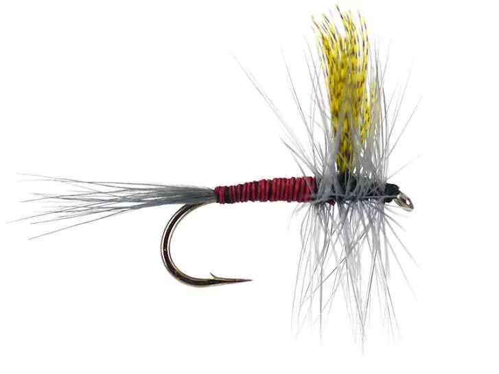Red Quill