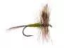 Adams Olive