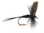 Black Gnat