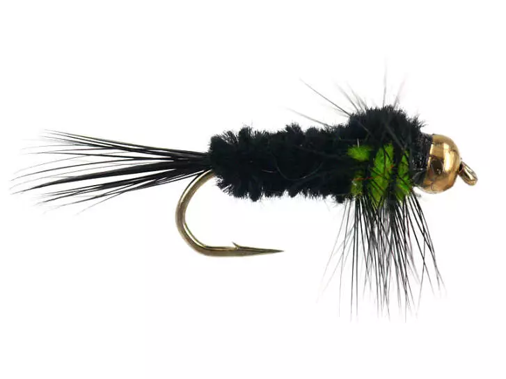Montana Green