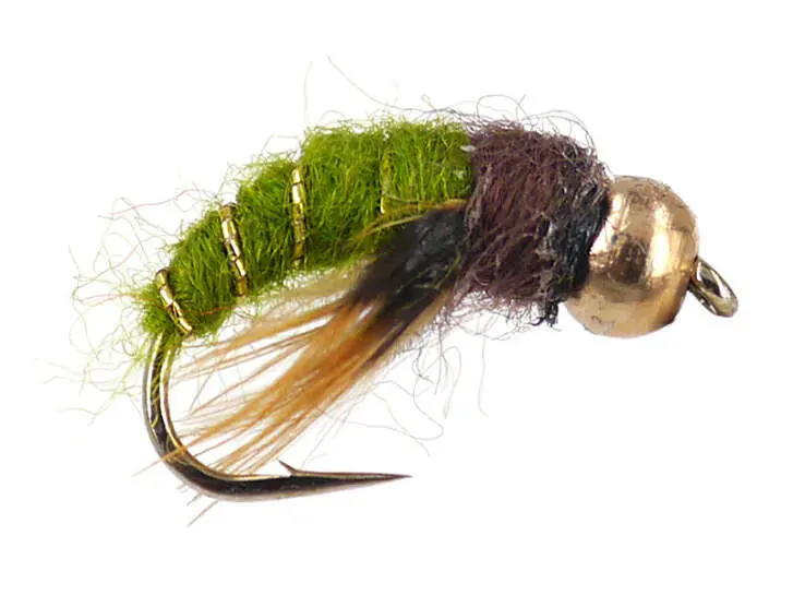 Caddis Pupa Olive