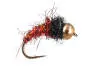 Bright Copper Nymph