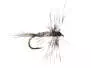 Mosquito Larva