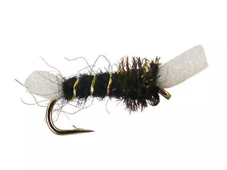 Chironomid Suspender Pupa