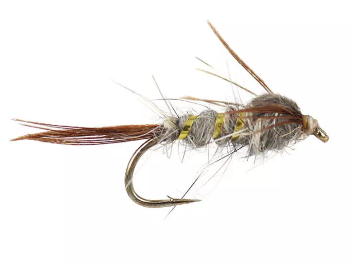 A.P. Medium
