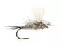 Hares Ear Parachute Superb